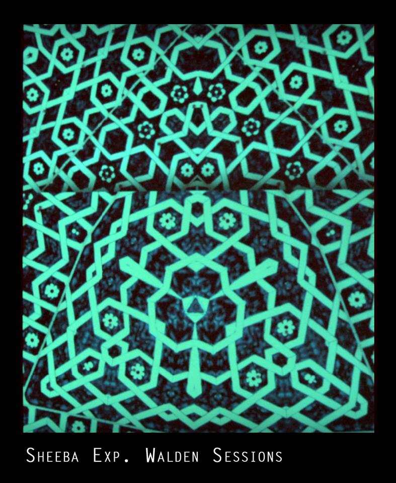 Sheeba Exp - Walden Sessions Sheeba Exp - Walden Sessions